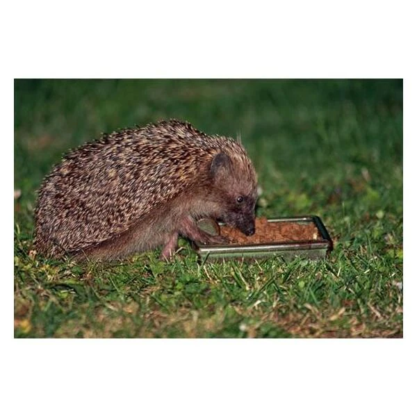 Egel Voerbak Keramiek - Afbeelding 2