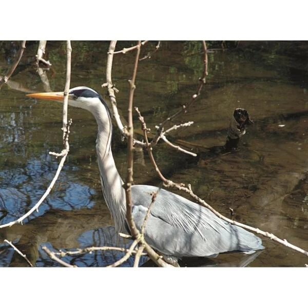 Vogelafschrik Vlaggen - Set Van 3 Stuks - Afbeelding 5