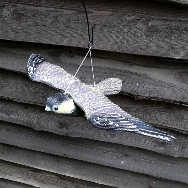 Vliegende Slechtvalk - Vogelverschrikker - Afbeelding 3