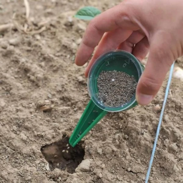 Zaaidoosje - Afbeelding 3